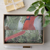 Winter Bird Forest Cardinaal Chickadee Nuthatch Sk Tissuepapier (Geschenk)