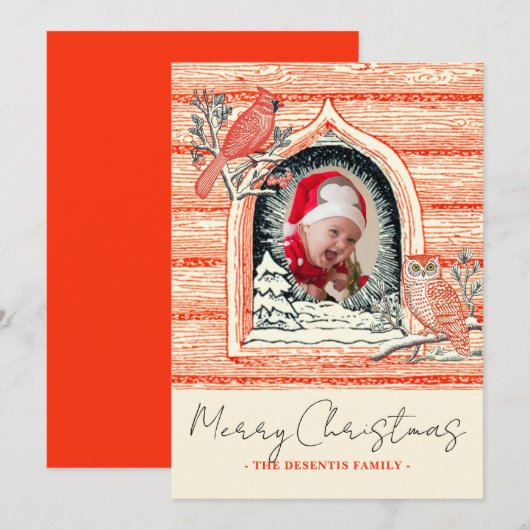 Winter Bird Natuur Scene Foto Kerst Feestdagenkaart (Voorkant / Achterkant)