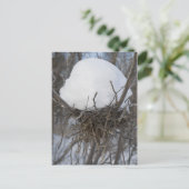 Winter Bird Nest Briefkaart (Staand voorkant)