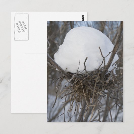 Winter Bird Nest Briefkaart (Voorkant / Achterkant)