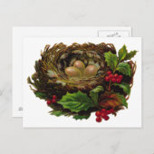 Winter Bird Nest Briefkaart (Voorkant / Achterkant)