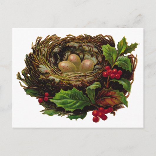 Winter Bird Nest Briefkaart (Voorkant)