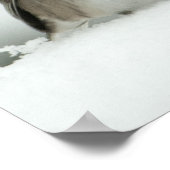 Winter Bird Poster (Hoek)