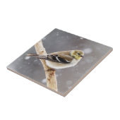 Winter Bird Snow Scene - American Goldfinch Tegeltje (Zijkant)