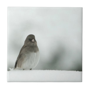 Winter Bird Tegeltje