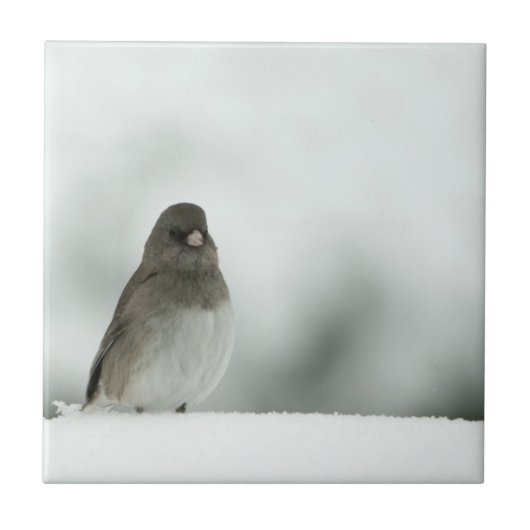 Winter Bird Tegeltje (Voorkant)