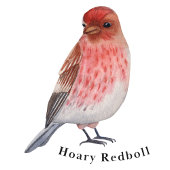 Winter Birds Educational Poster