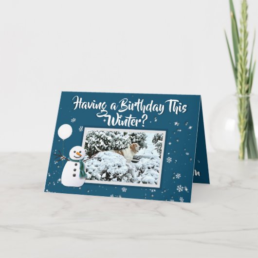 Winter Birthday Card Snow & Beauful Basset Hound Kaart (Voorkant)