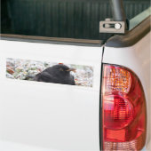 Winter Blackbird Bumpersticker (Op Truck)