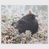 Winter Blackbird Cadeaupapier (Vlak)