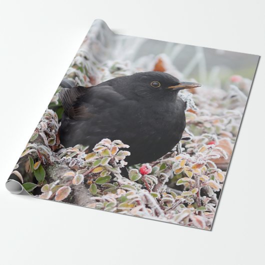 Winter Blackbird Cadeaupapier (Uitgerold)