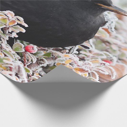 Winter Blackbird Cadeaupapier (Hoek)