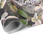 Winter Blackbird Cadeaupapier (Rol Hoek)