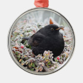 Winter Blackbird Ceramic Ornament (Voorkant)