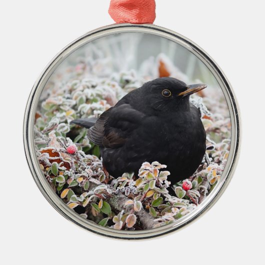 Winter Blackbird Ceramic Ornament (Voorkant)