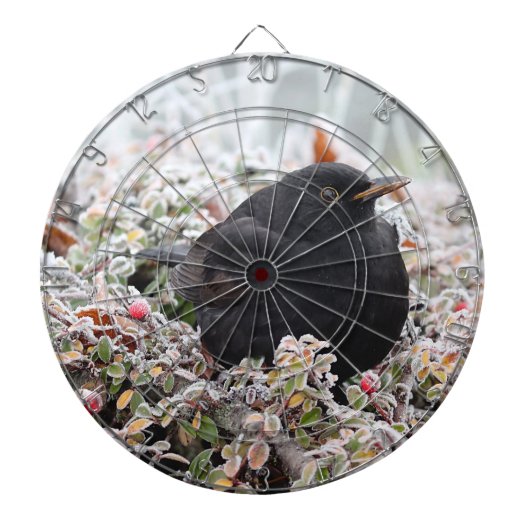 Winter Blackbird Dartbord (Voorkant)