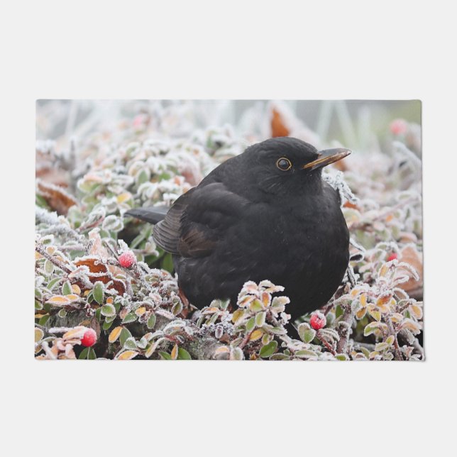 Winter Blackbird Deurmat (Voorkant)