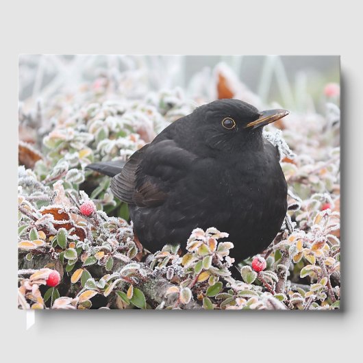 Winter Blackbird Gastenboek (Voorkant)