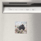 Winter Blackbird Magneet (Insitu (Vaatwasser))