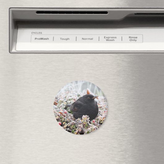 Winter Blackbird Magneet (Insitu (Vaatwasser))