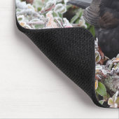 Winter Blackbird Muismat (Hoek)