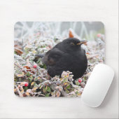 Winter Blackbird Muismat (Met muis)