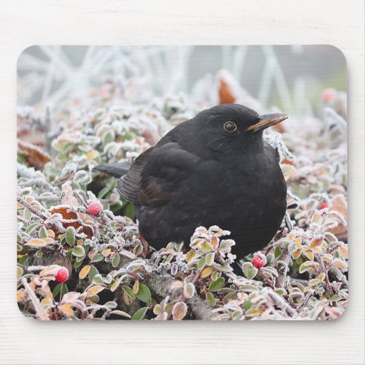 Winter Blackbird Muismat (Voorkant)