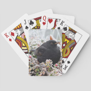 Winter Blackbird Pokerkaarten