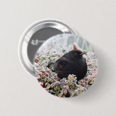 Winter Blackbird Ronde Button 5,7 Cm (Voorkant /achterkant)