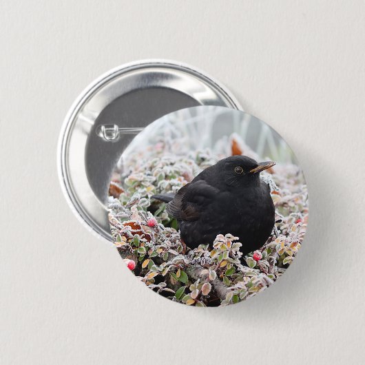 Winter Blackbird Ronde Button 5,7 Cm (Voorkant /achterkant)