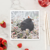 Winter Blackbird Servet (Insitu)