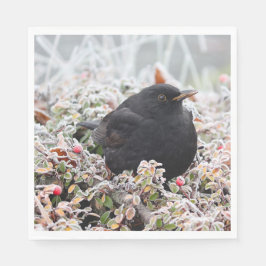 Winter Blackbird Servet