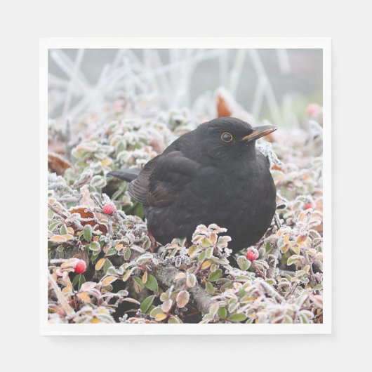 Winter Blackbird Servet (Voorkant)