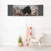 Winter Blackbird Spandoek (Insitu)