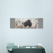 Winter Blackbird Spandoek (Beurs)