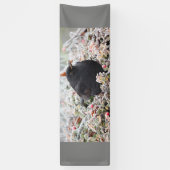 Winter Blackbird Spandoek (Verticaal)