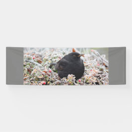 Winter Blackbird Spandoek