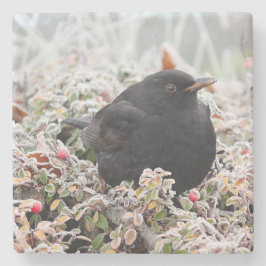 Winter Blackbird Stenen Onderzetter
