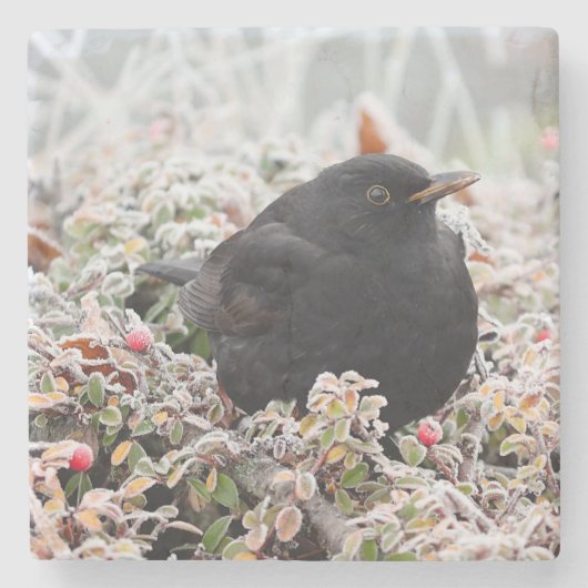 Winter Blackbird Stenen Onderzetter (Voorkant)