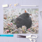 Winter Blackbird Tissuepapier (Craft)