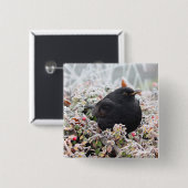 Winter Blackbird Vierkante Button 5,1 Cm (Voorkant /achterkant)