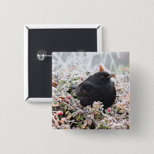 Winter Blackbird Vierkante Button 5,1 Cm (Voorkant /achterkant)