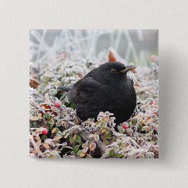 Winter Blackbird Vierkante Button 5,1 Cm