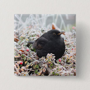 Winter Blackbird Vierkante Button 5,1 Cm