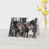 Winter Blanket Kaart (Gele Bloem)