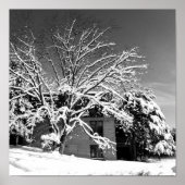 Winter Blast B+W Poster (Voorkant)