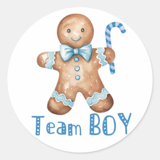 Winter Blau Cookie Team Jongen Sticker (Voorkant)