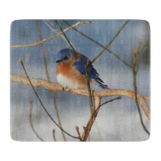 Winter Blauwborst Natuur  Snijplank