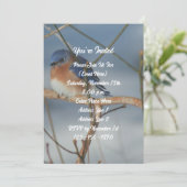 Winter Blauwborst Natuurfeest Kaart (Staand voorkant)