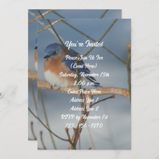 Winter Blauwe Pijl Natuurfeest Kaart (Voorkant / Achterkant)